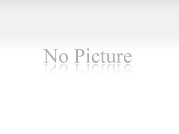 ? 機(jī)械用鋁型材：現(xiàn)代工業(yè)的堅(jiān)實(shí)支柱